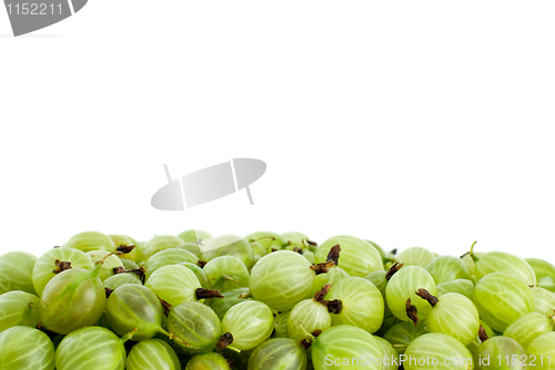 Image of Pile of green gooseberries