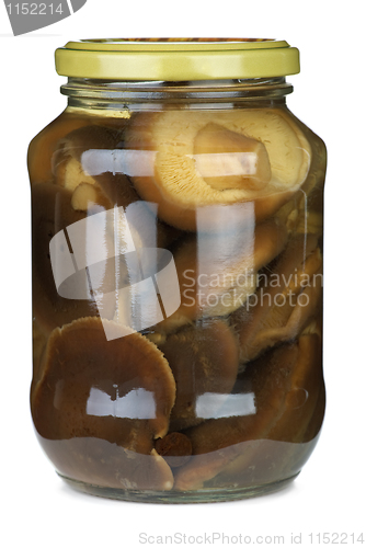 Image of Shiitake mushrooms conserved in glass jar