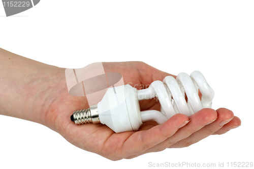 Image of Hand holding compact spiral-shaped fluorescent lamp in hand