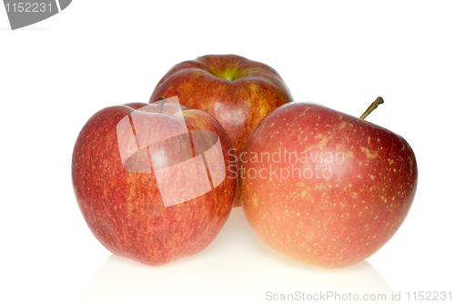 Image of Three red apples of different breeds
