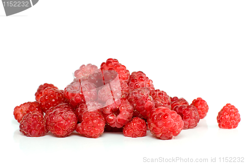 Image of Red ripe raspberry pile