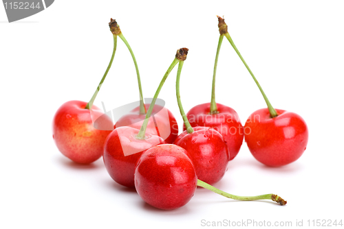 Image of Some pink cherries with stalks