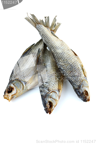 Image of Three dried sea roach fishes