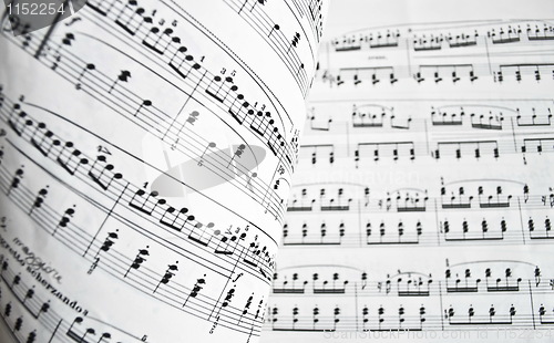 Image of White musical score