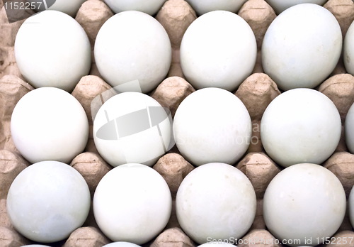 Image of Dozen eggs