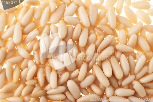 Image of Pine nuts background