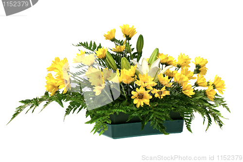 Image of Yellow daisy and white flowers arrangement 