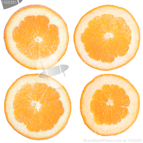 Image of Orange slices