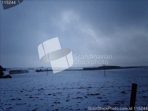 Image of Winter Field