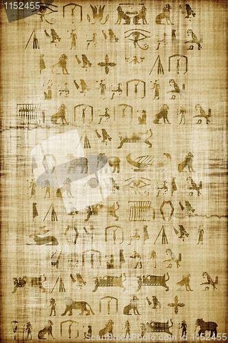 Image of papyrus