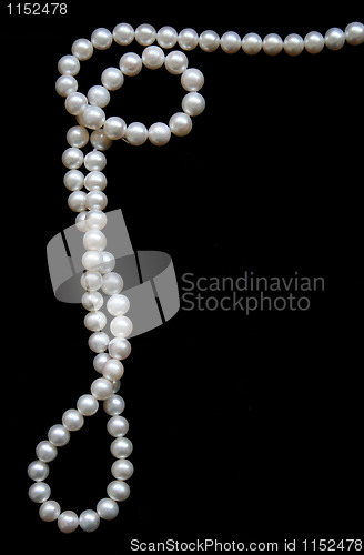 Image of White pearls on the black velvet 