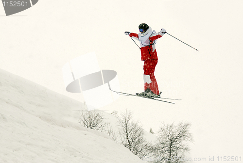 Image of skier flip in the air