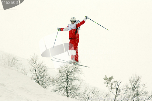 Image of skier flip in the air