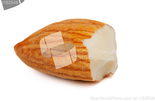 Image of half of fresh almonds