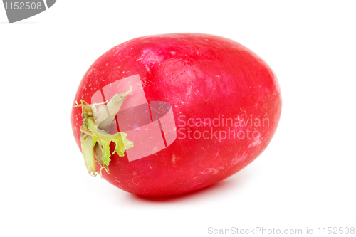 Image of an appetizing red radish