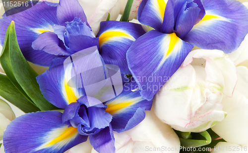 Image of background