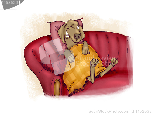 Image of happy dog on sofa