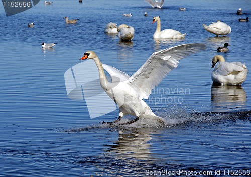 Image of Landing