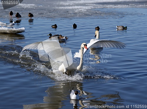 Image of Landing