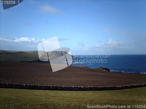 Image of Scottish Field and Cliffs