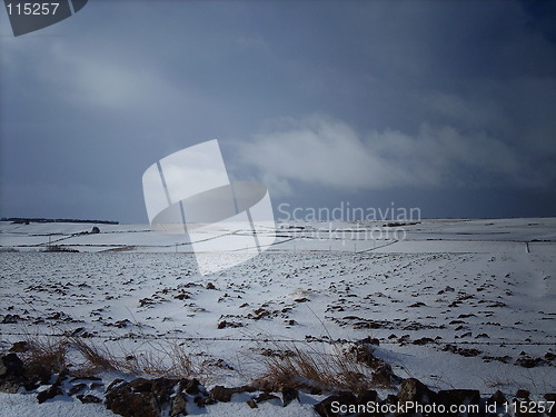 Image of Frozen Fields