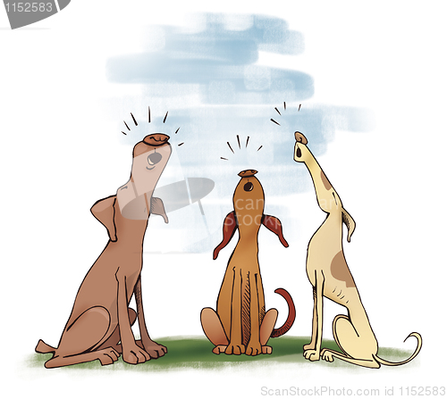 Image of three howling dogs