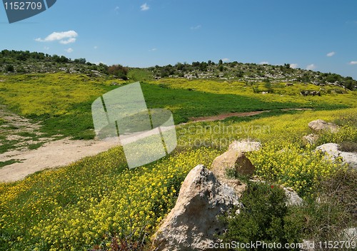 Image of Mediterranean hills landscape in spring