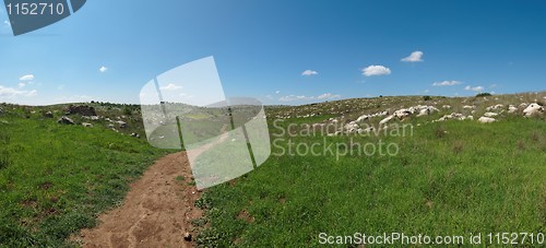 Image of Hiking trail among Mediterranean hills in spring