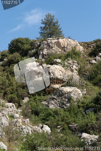 Image of Lonely tree on top of weathered cliff in bright spring day