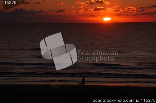 Image of Dogwalking in the sunset