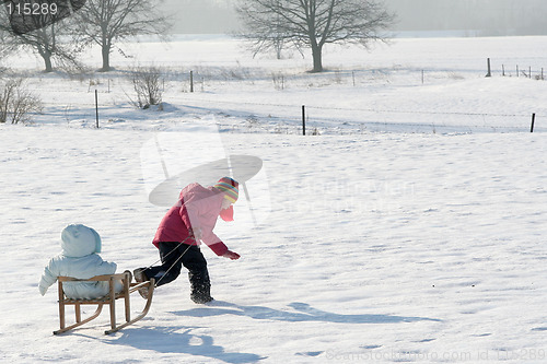 Image of On the sled