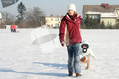 Image of On the sled