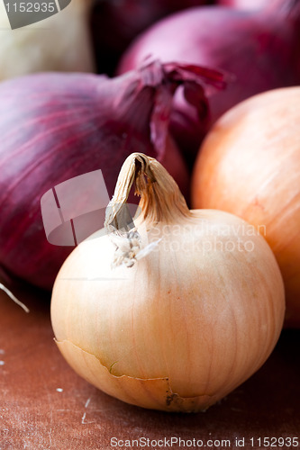 Image of Red and yellow onions