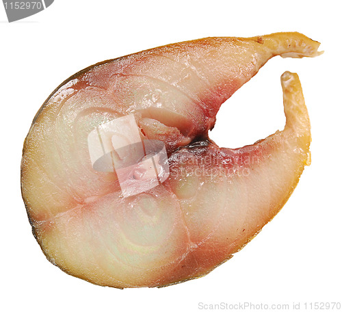 Image of fish