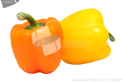 Image of Peppers isolated