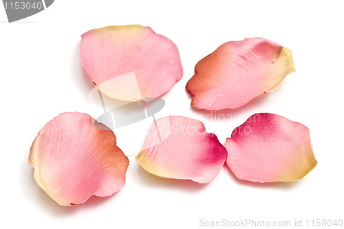 Image of Scattered flower petals isolated on white 