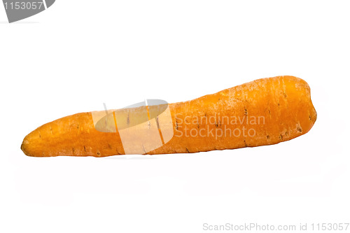 Image of Carrot 