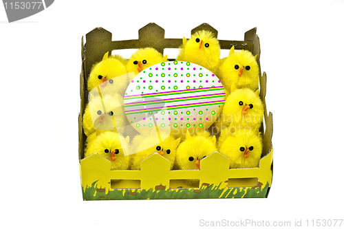 Image of Yellow chickens and easter egg