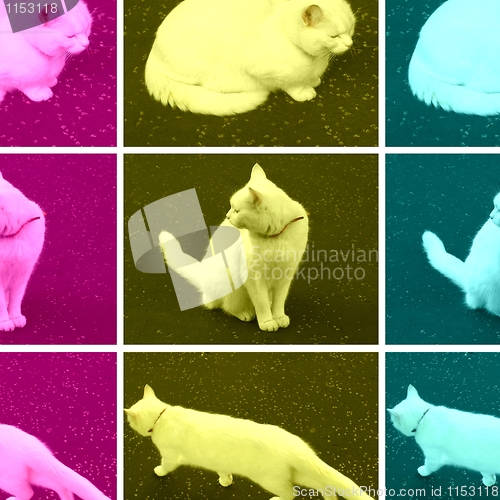 Image of Pop Art cat