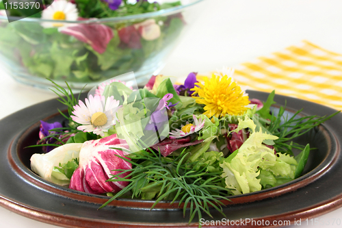 Image of Wild herb salad