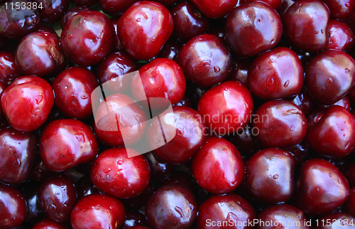 Image of Wet ripe cherries as background