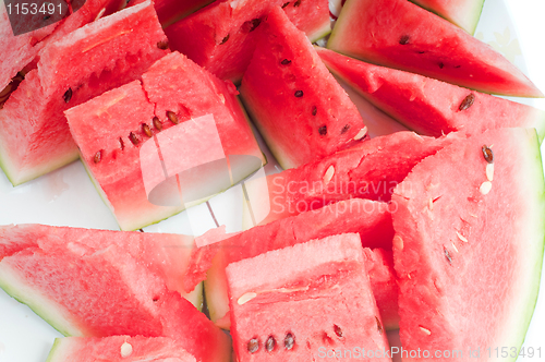 Image of Watermelon