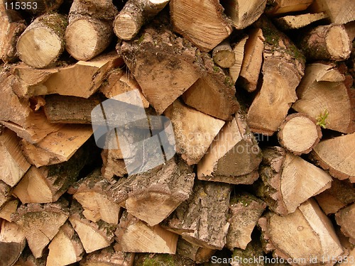 Image of Woodpile