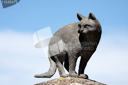 Image of Cat in La Romieu