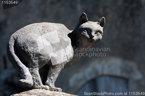 Image of Cats in La Romieu