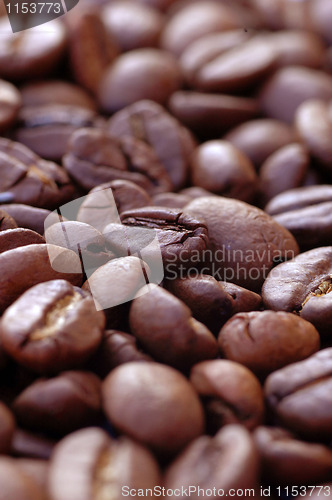 Image of Coffee Bean Texture