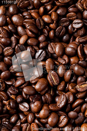 Image of Coffee beans