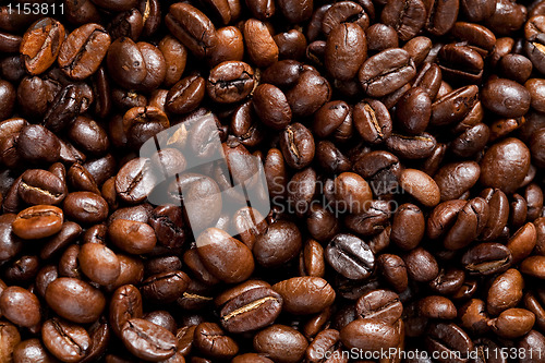 Image of Coffee beans