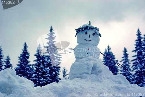 Image of funny snow man