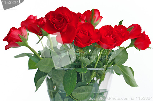 Image of  Bouquet of red roses in vase